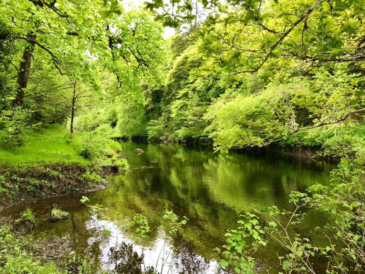 Kilronan Cottage バリーコニーリー エクステリア 写真