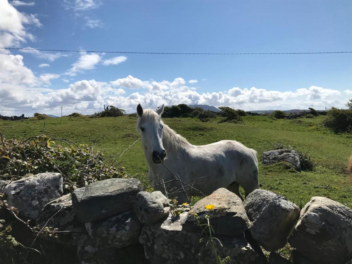 Kilronan Cottage バリーコニーリー エクステリア 写真